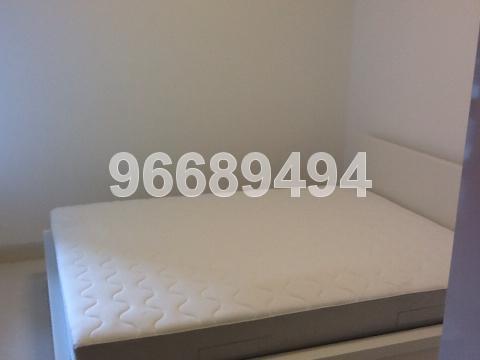 Alexis (D3), Apartment #103766402